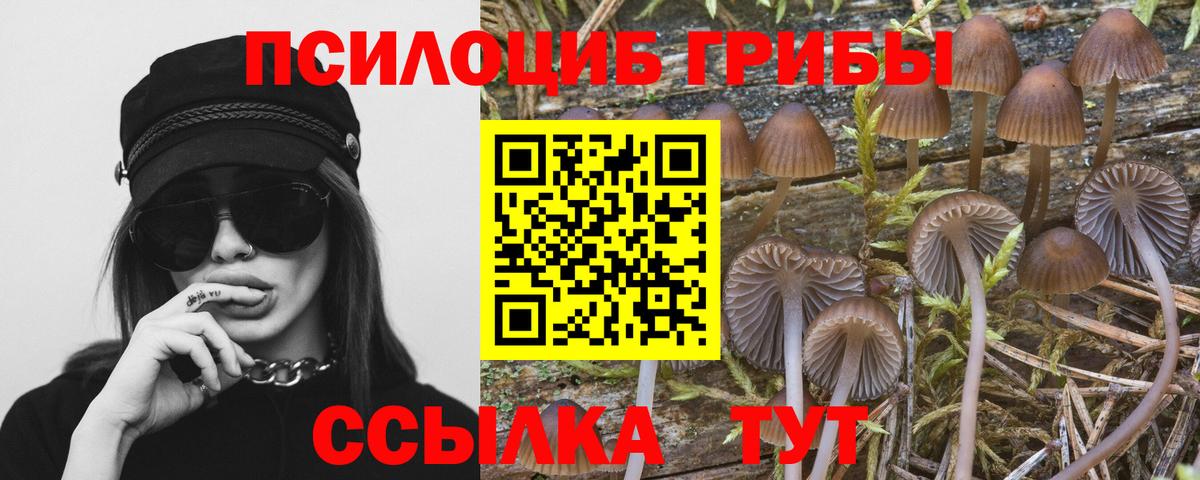 Псилоцибиновые грибы прущие грибы Кулебаки
